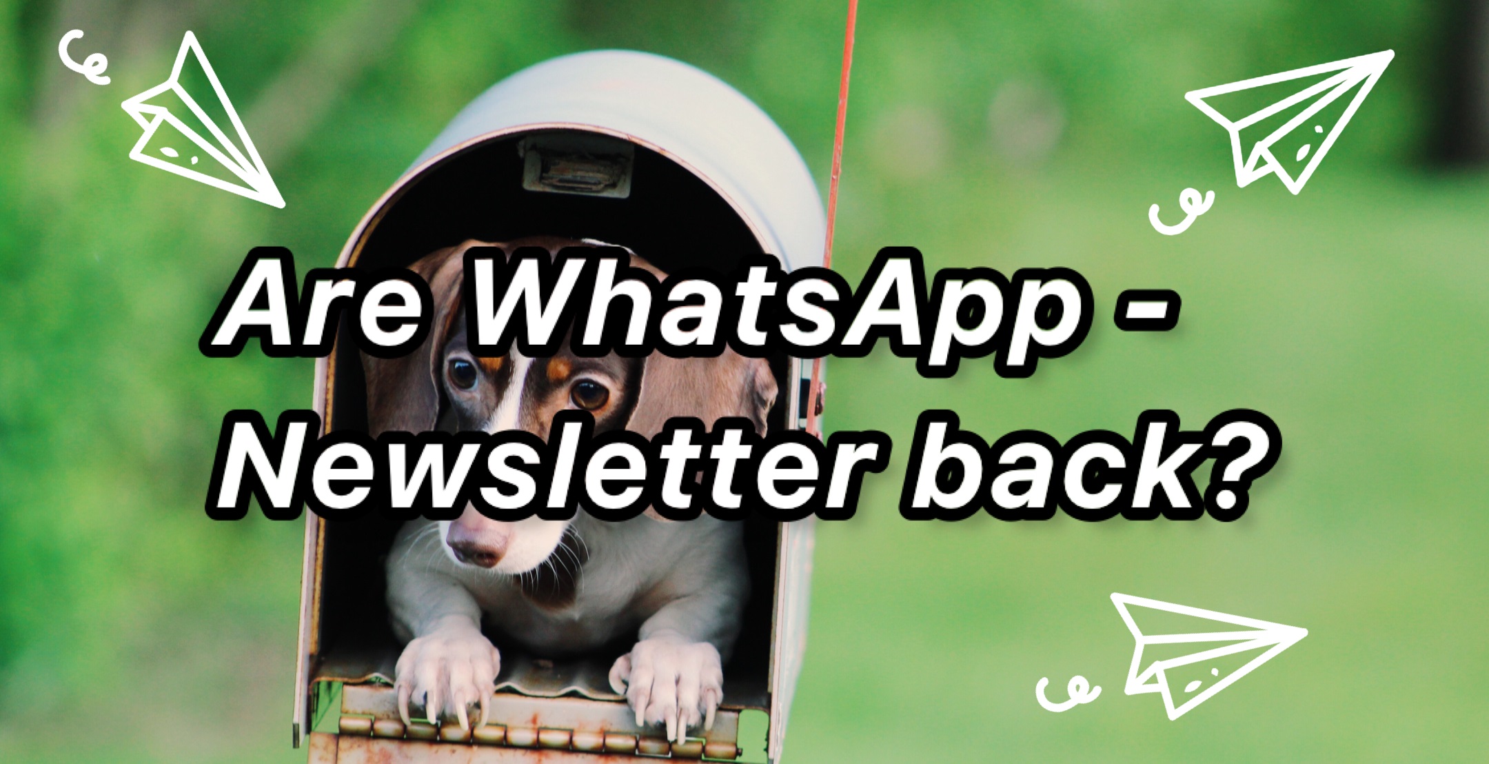 whatsapp newsletter
